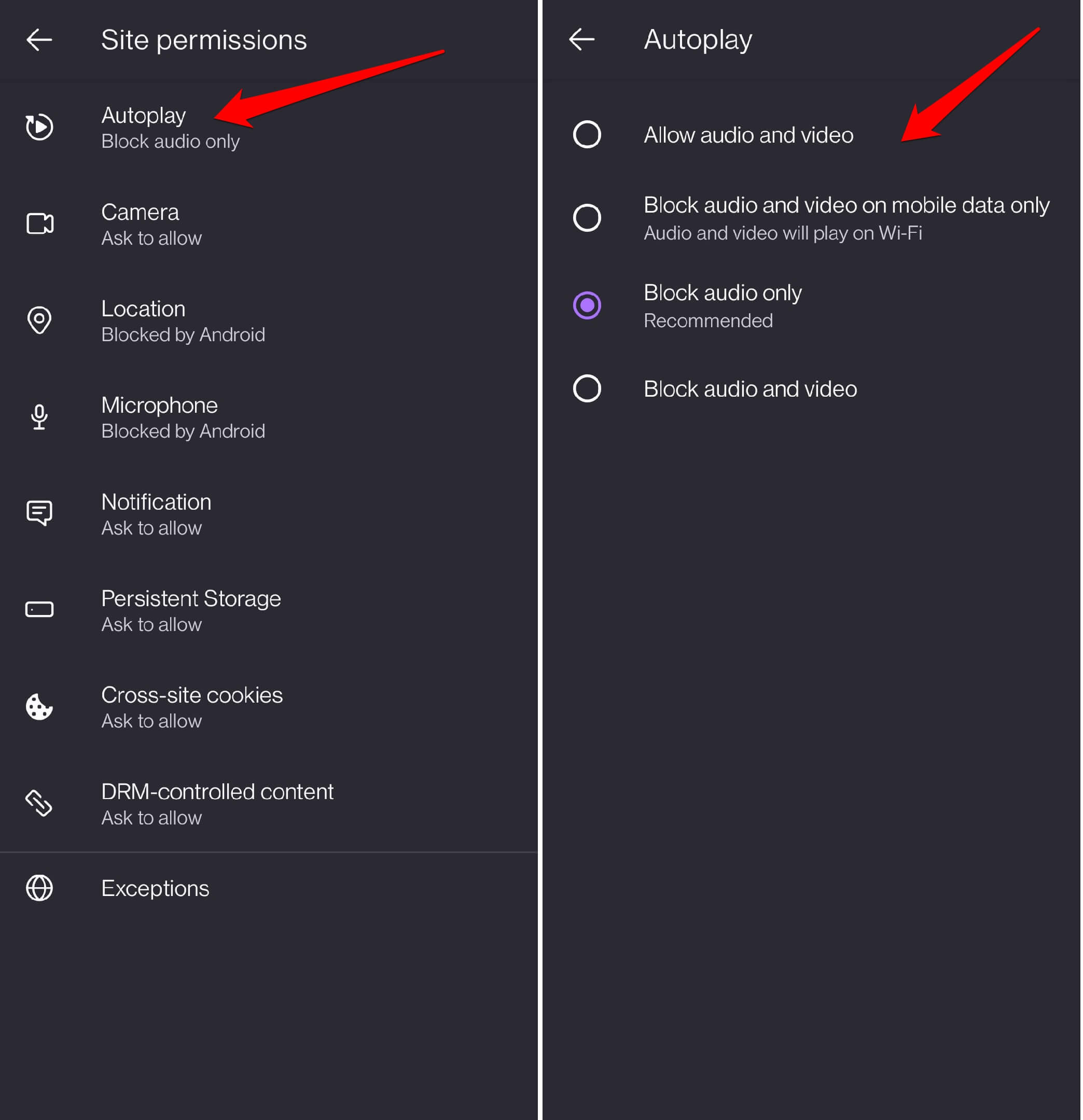 allow or block audio access on Firefox Android