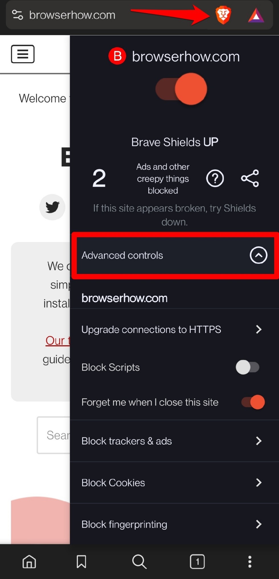 advanced-site-settings for a page on Brave browser android