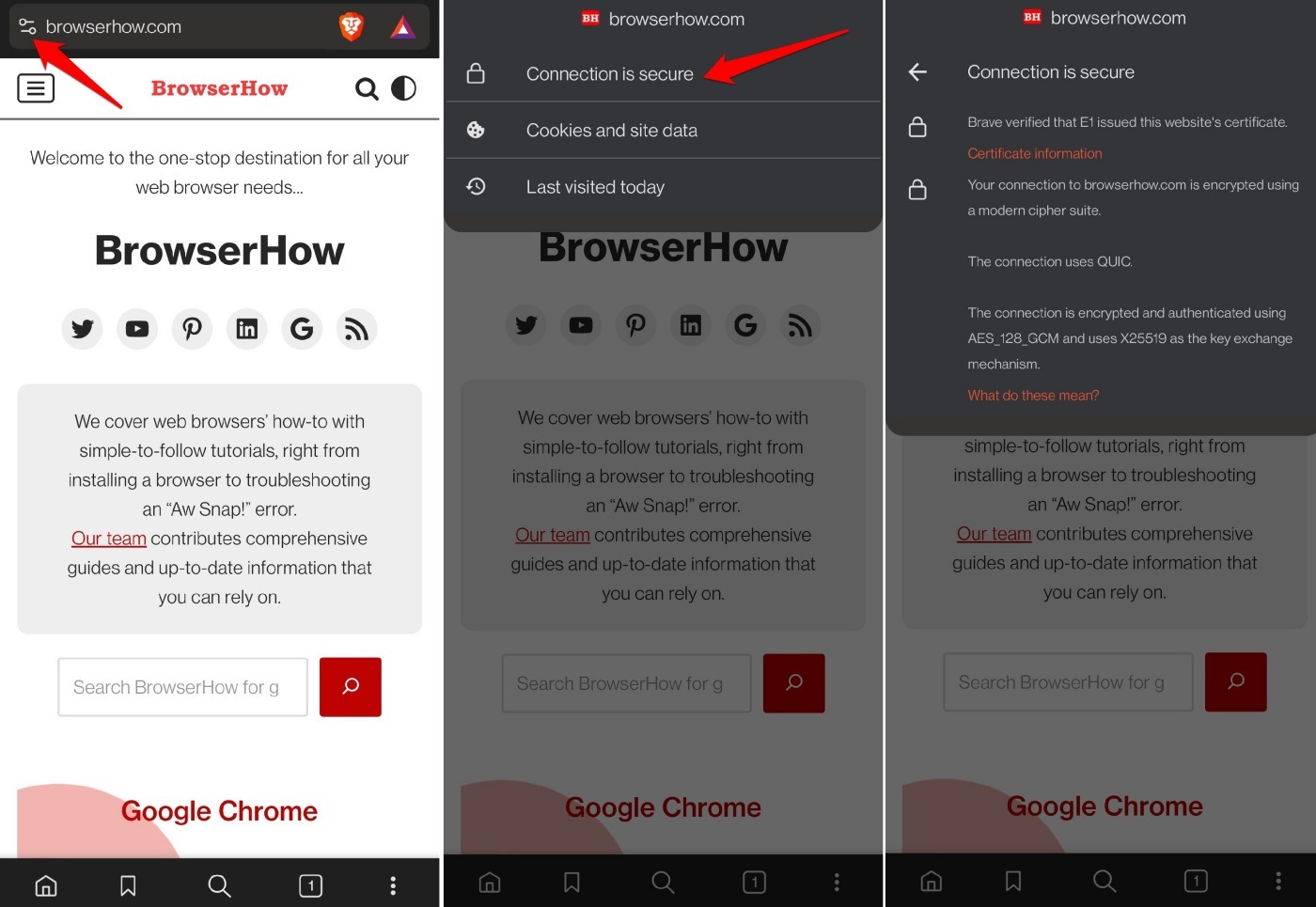 check site information on Brave browser android