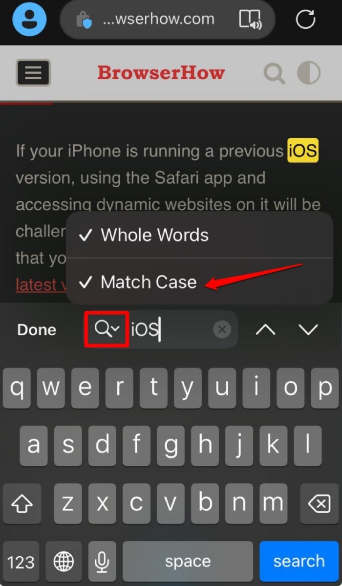 search text on Edge browser using case sensitivity