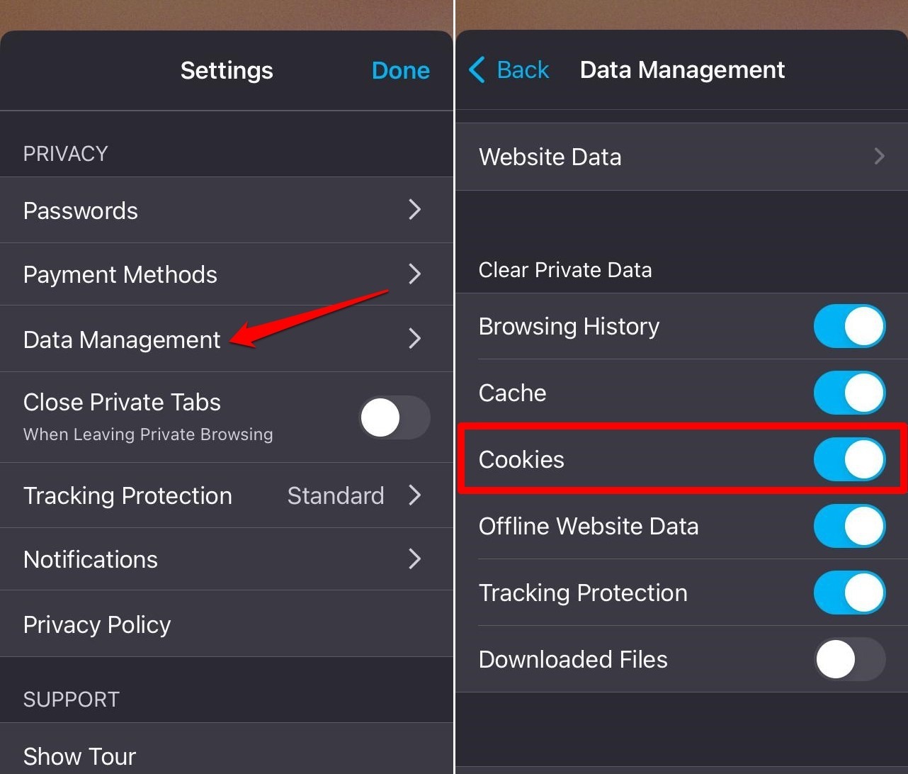 allow cookies on Firefox iOS
