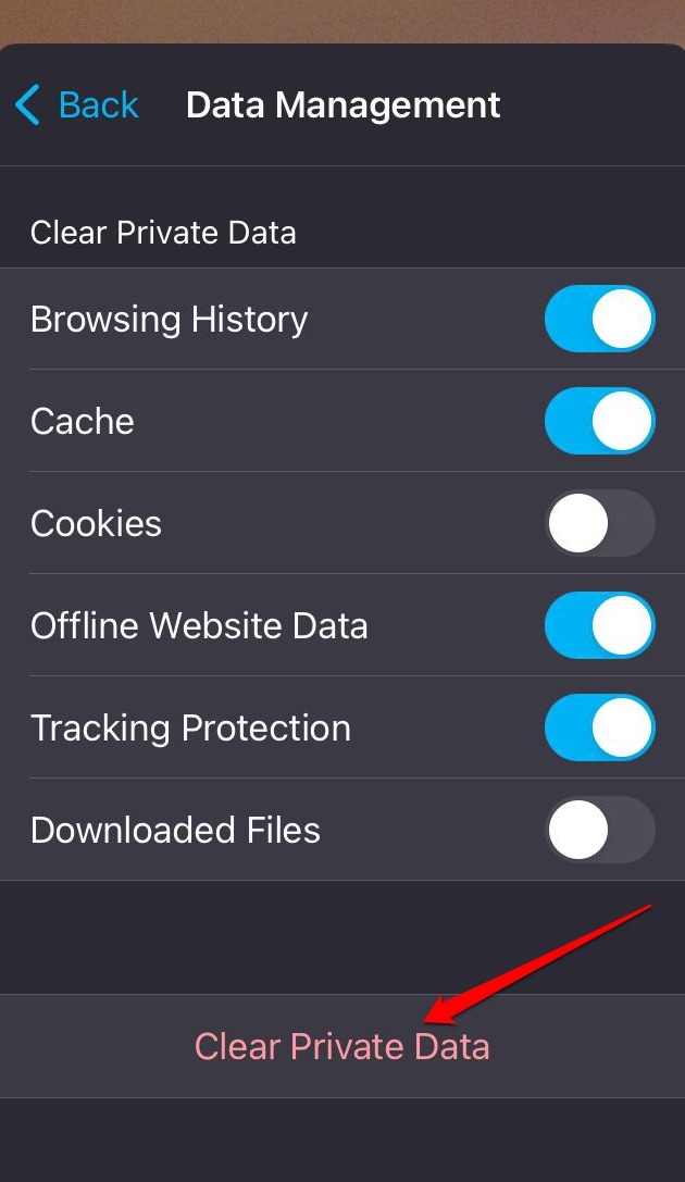 clear private data on Firefox iOS