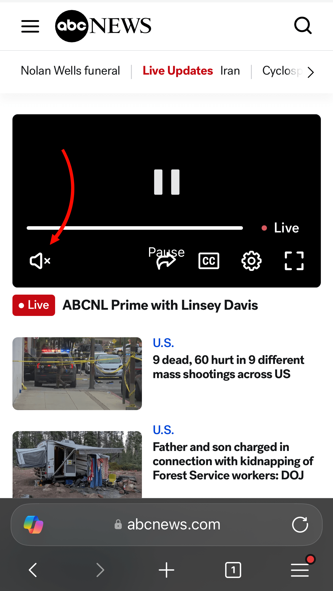 Mute Sound in Video Player in Edge on iPhone