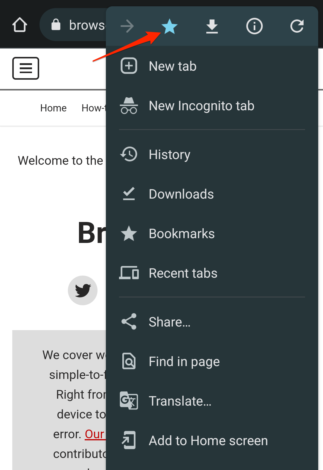 Bookmark or Favorite command in Chrome Android under Menu
