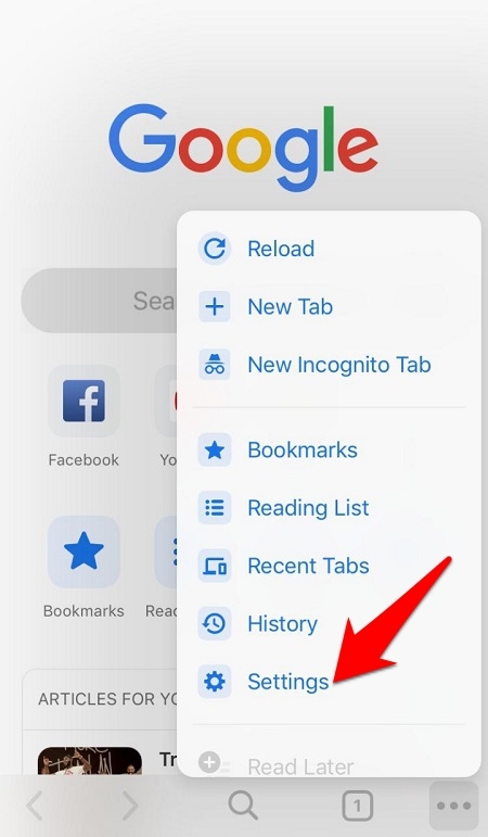 Chrome iOS Settings menu