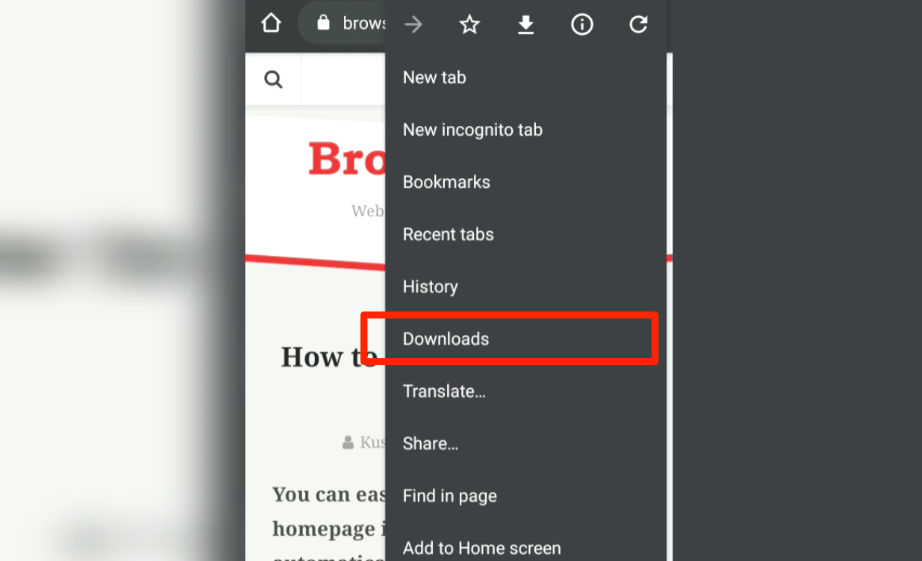 Chrome Android Downloads Tab