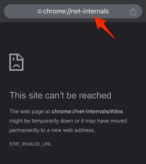 Chrome Net Internals page Invalid URL on iPhone