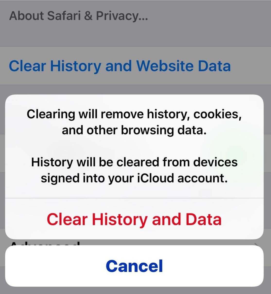 Clear History and Data storage from Safari iOS