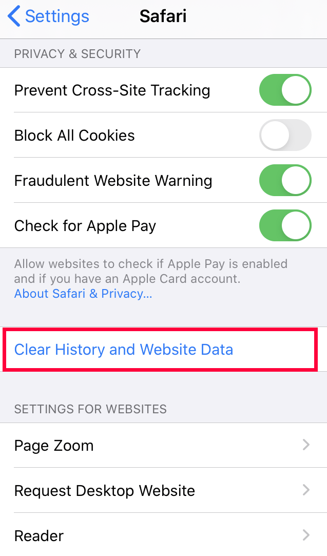 Clear History and Website Data from Safari iPhone