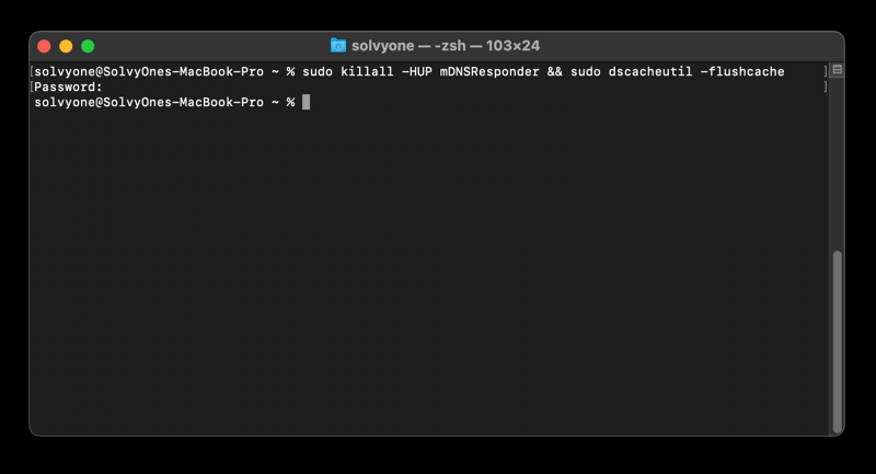 Clear DNS Cache from macOS using Terminal app command