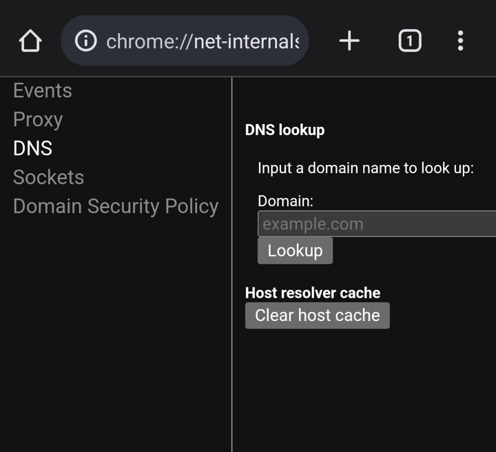 Clear host DNS cache from Google Chrome for Android