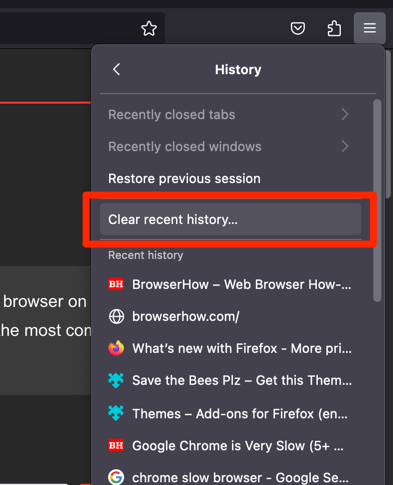 Clear recent history option in Firefox computer browser
