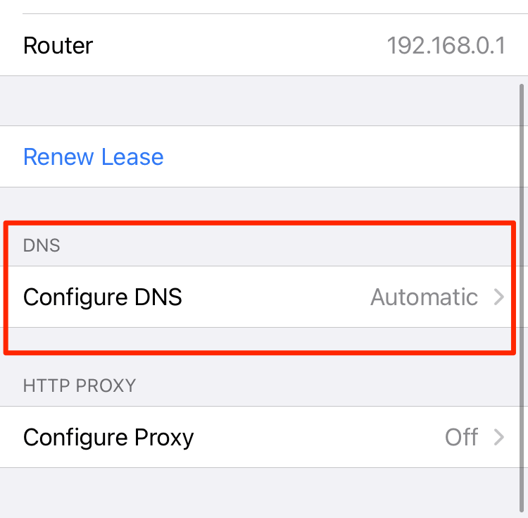 Configure DNS Settings in iOS WiFi connection