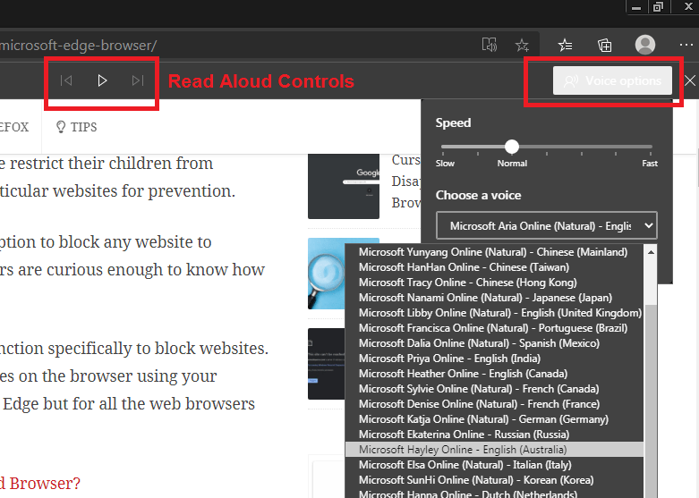 Edge Read Aloud Controls and Voice Options