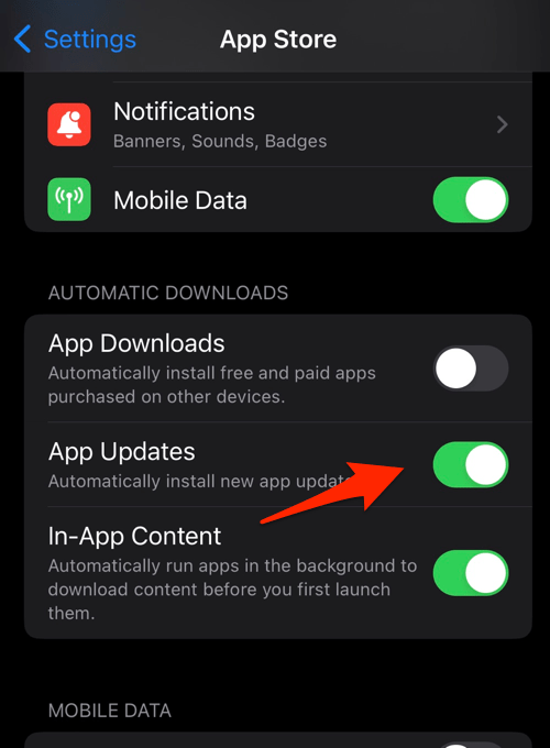 Enable Auto App Updates for App Store in iPhone Settings