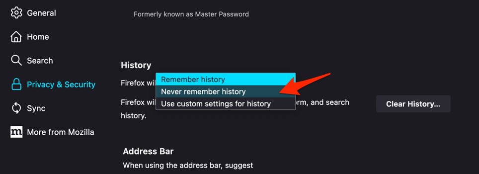 Firefox will never remember history settings on computer browser