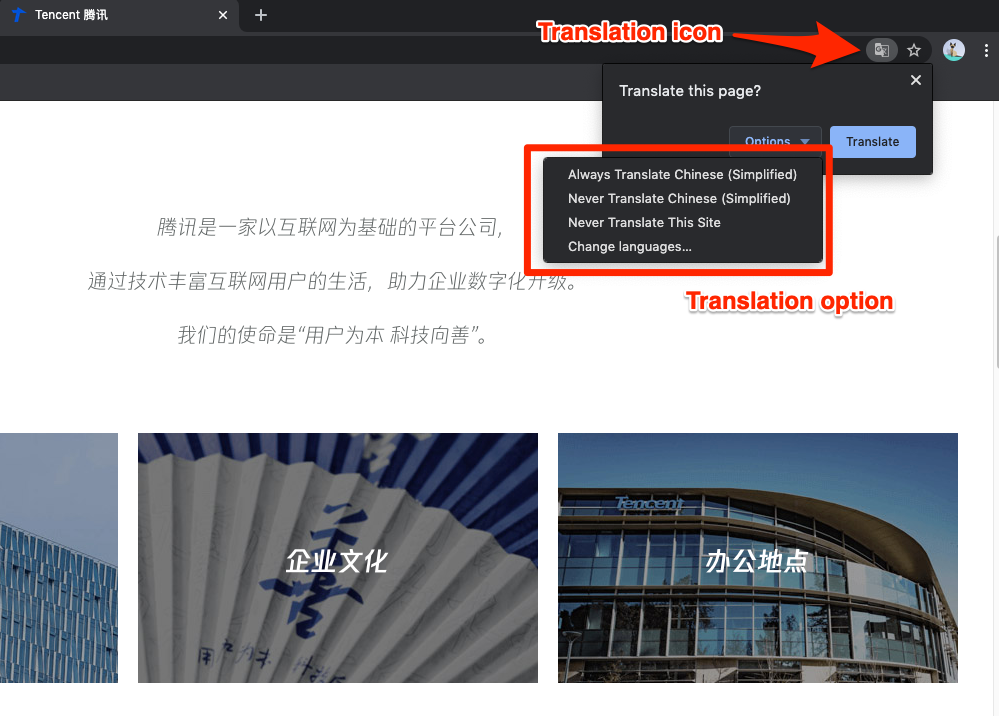 Google Chrome Translation and Options in Website