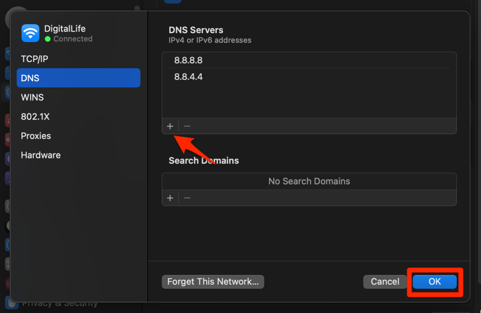 Google DNS Servers added in macOS Network Settings window