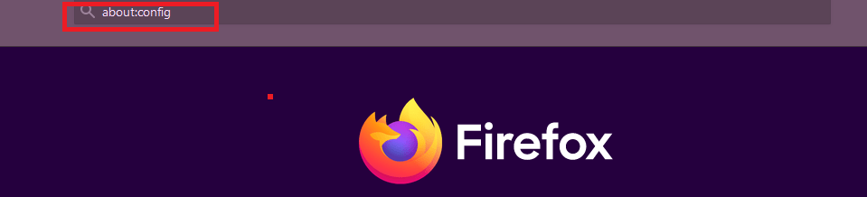 How to block javascript on Firefox