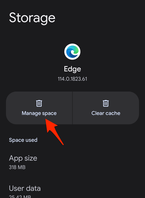 Manage Storage space for Edge app in Android