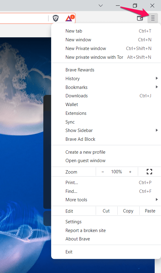 More options menu in Brave Browser