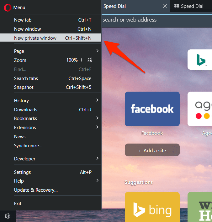 Open New Private Window in Opera browser