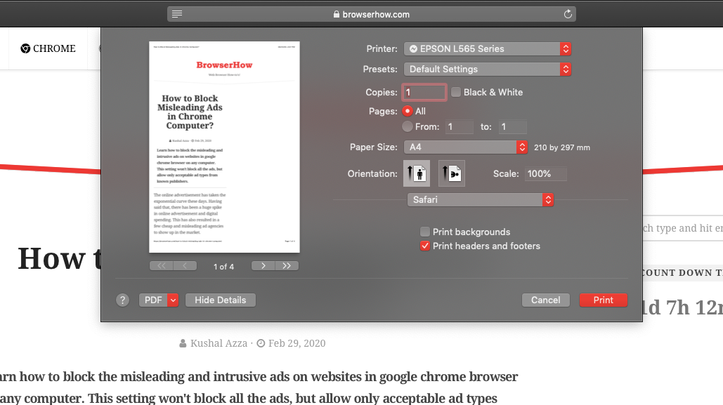 Paper Print in Safari Browser on Computer