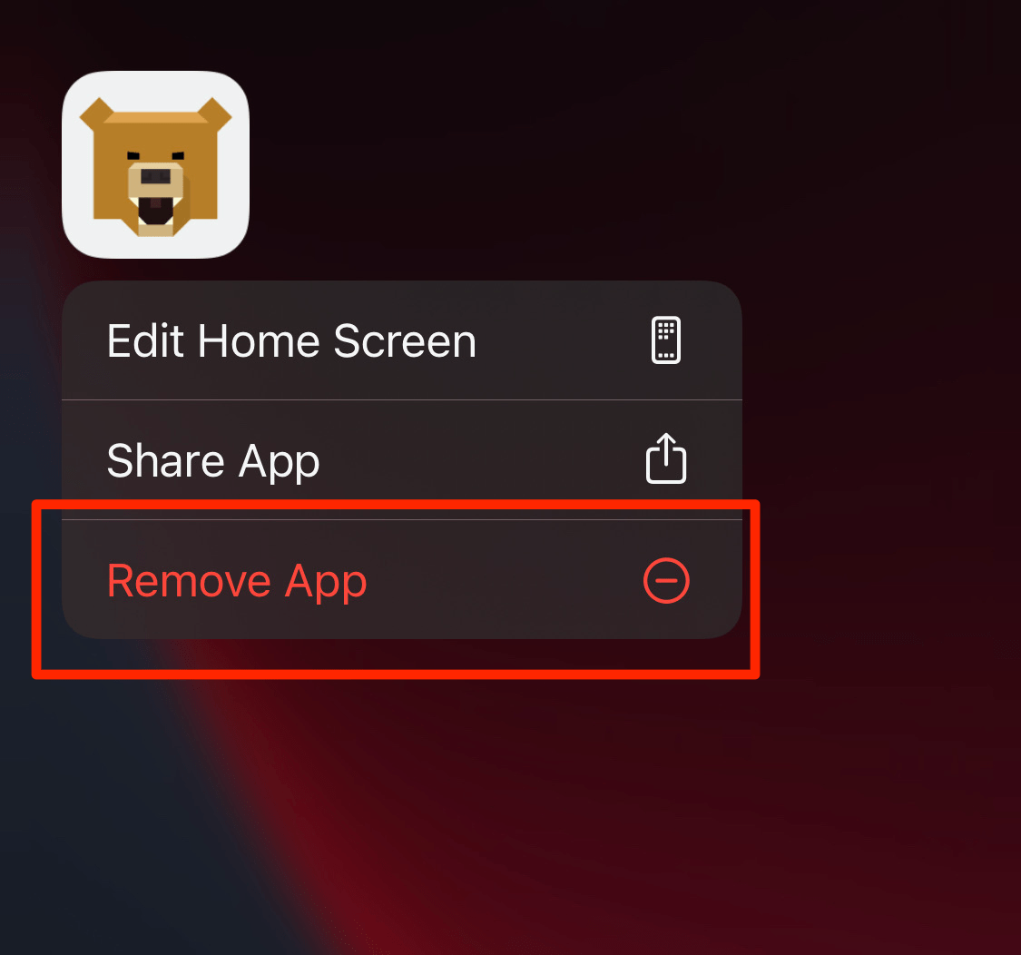 Remove App from iPhone Device