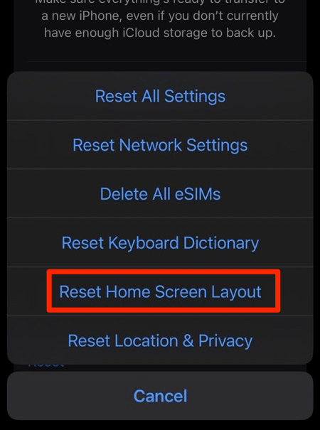 Reset Home Screen Layout option in iPhone