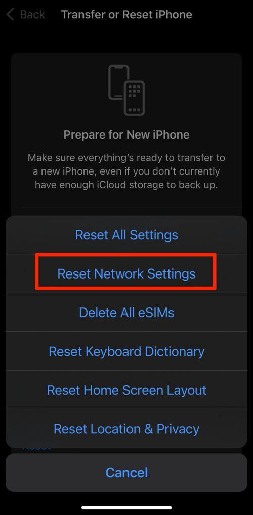Reset Network Settings option in iPhone Settings menu