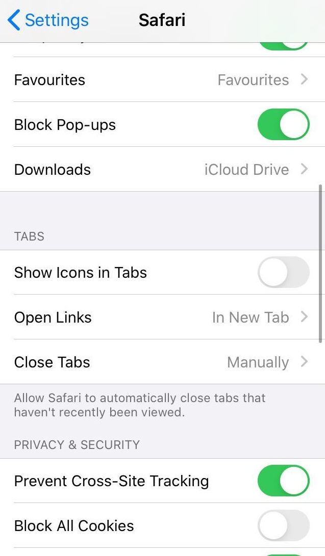 Safari Privacy and Security Settings in iOS