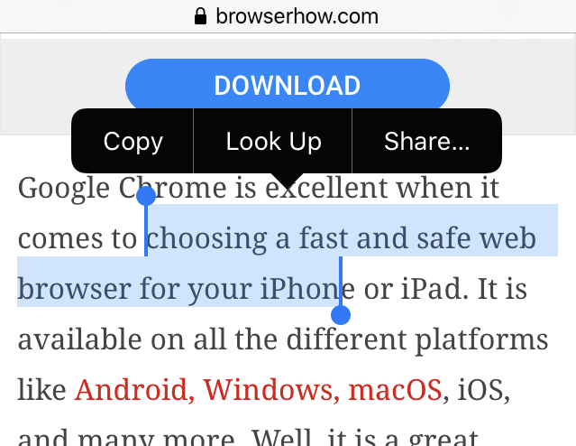 Safari iPhone Quick Selection Menu options