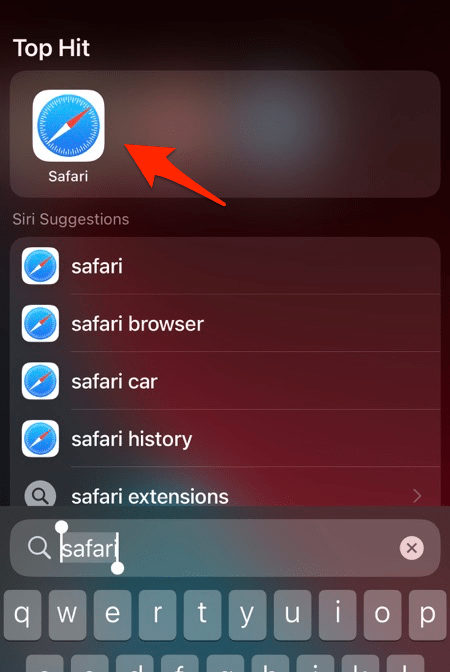 Safari term Spotlight search on iPhone