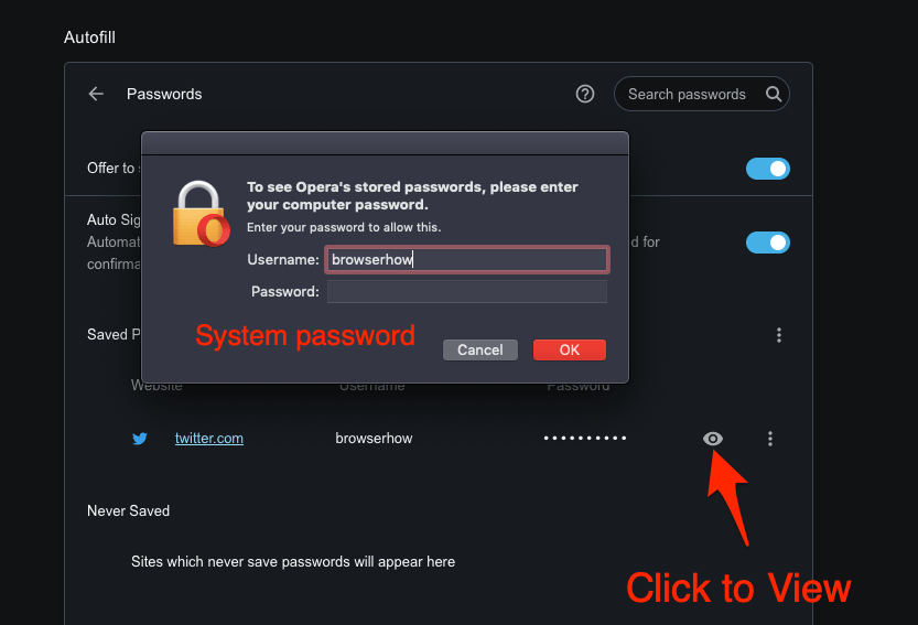 View Stored Password in Opera Computer